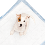 Melhor Tapete Higiênico Para Cachorro de 2021: Guia de Compra Completo!