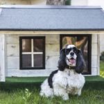 Melhor Casa Para Cachorro de 2023: Guia de Compra Completo!